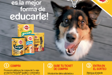 Sorteo de Pedrigree de 8 clases de educaci贸n canina online