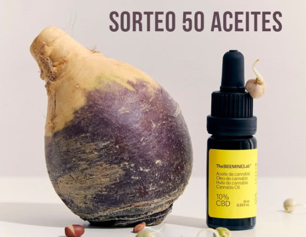 Sorteo de Beemine Lab