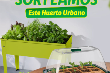 Gana un huerto urbano en el sorteo de Lidl