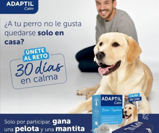 sorteo de Adaptil para ganar mantas y pelotas para perro